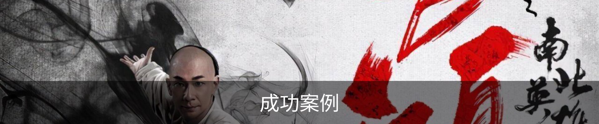 成功案例